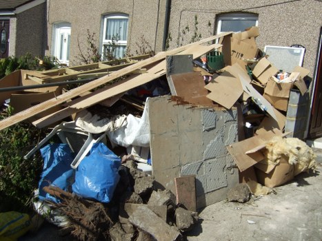 Professional team handling waste removal
